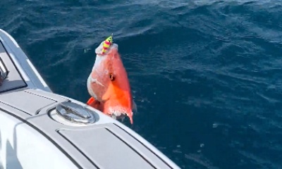 Malé Report Video 1