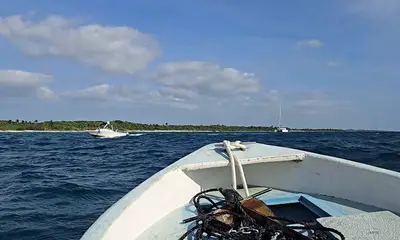 Caught  fish on a very windy choppy day