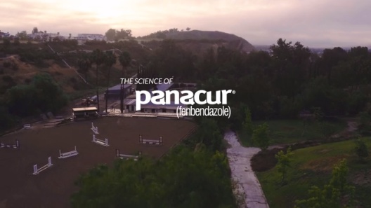 Play Video: Learn More About Panacur From Our Team of Experts