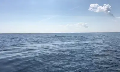 Fort Lauderdale Report Video 2