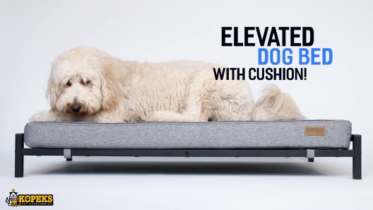 Kopeks Elevated Indoor/Outdoor Bed with Foam Mattress for Dogs, 48