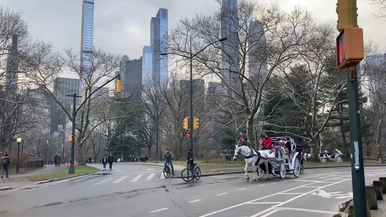 Can an EV Really Replace Central Park's Horse-Drawn Carriages?