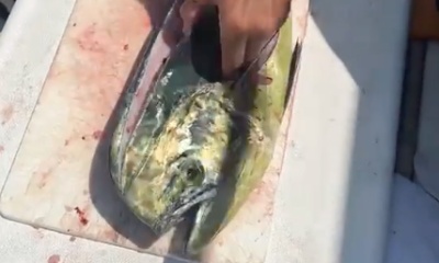 Playa Herradura Bericht Video 0