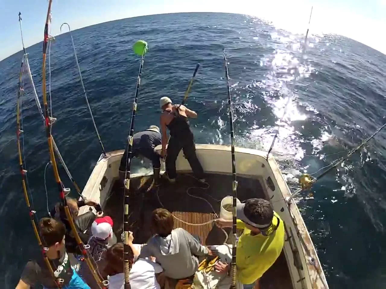 Business Card: Tuna Hunter Fishing Charters