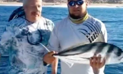 San Jose del Cabo Report Video 0