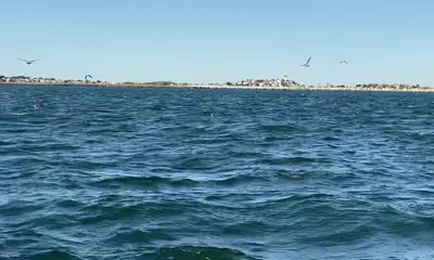Quincy Report Video 0