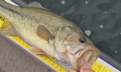 Prior Lake Видео отчет 0