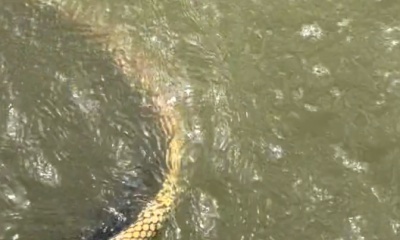 Matagorda Видео отчет 0