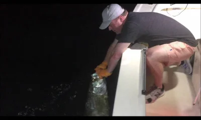Miami Report Video 0