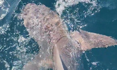 A Great Day on the water.