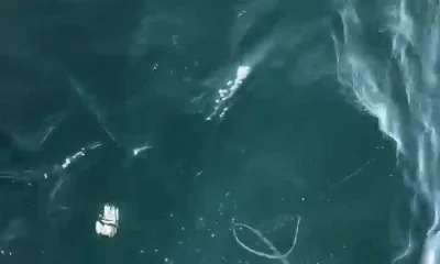 Ocean City Report Video 2
