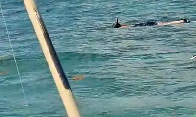 Playa Del Carmen Report Video 0