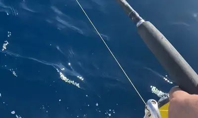 Puerto Rico Report Video 2