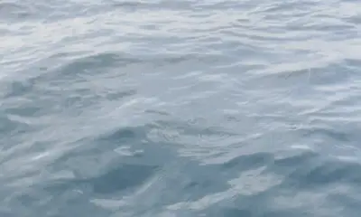 Rapport vidéo Narragansett 0
