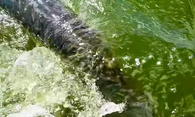 San Juan Report Video 0