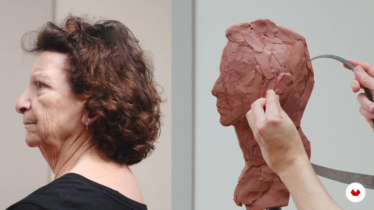 Sculpting the Profile 3