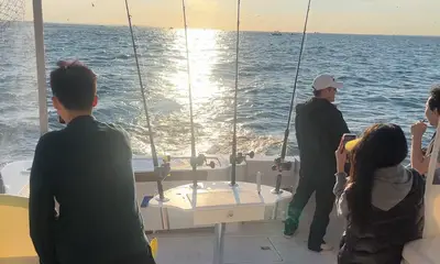 New York City Report Video 0