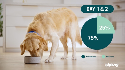 Play Video: Learn More About Purina Pro Plan Veterinary Diets From Our Team of Experts