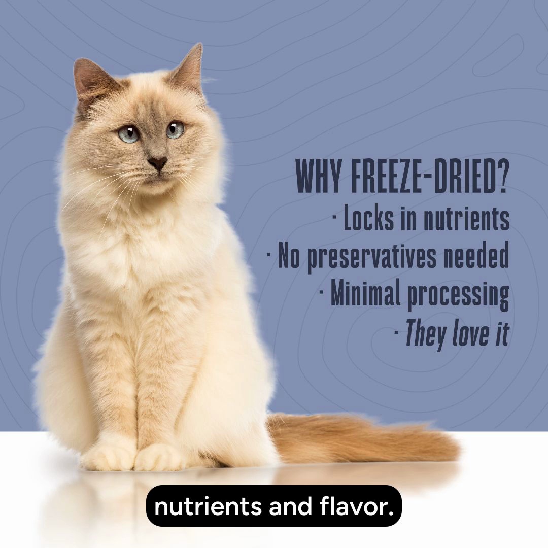 WHOLE LIFE Just One Ingredient Pure Chicken Breast Freeze