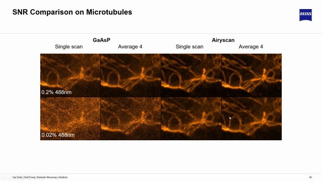 Exploring Confocal Microscopy's Versatility in Research