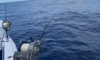 Fort Lauderdale Report Video 0