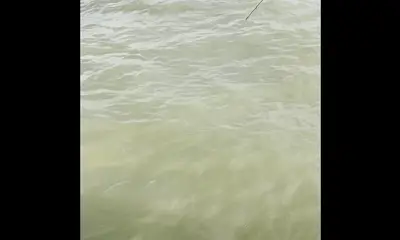 Best fishing day and charter ever. 
