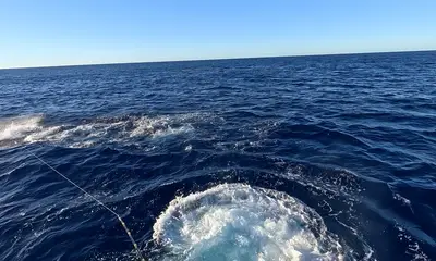 Kailua-Kona Report Video 1