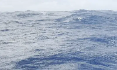 Amazing Captain! He will put you on the fish!