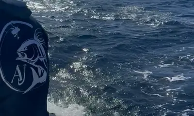 Captain Carlos put us on fish! 