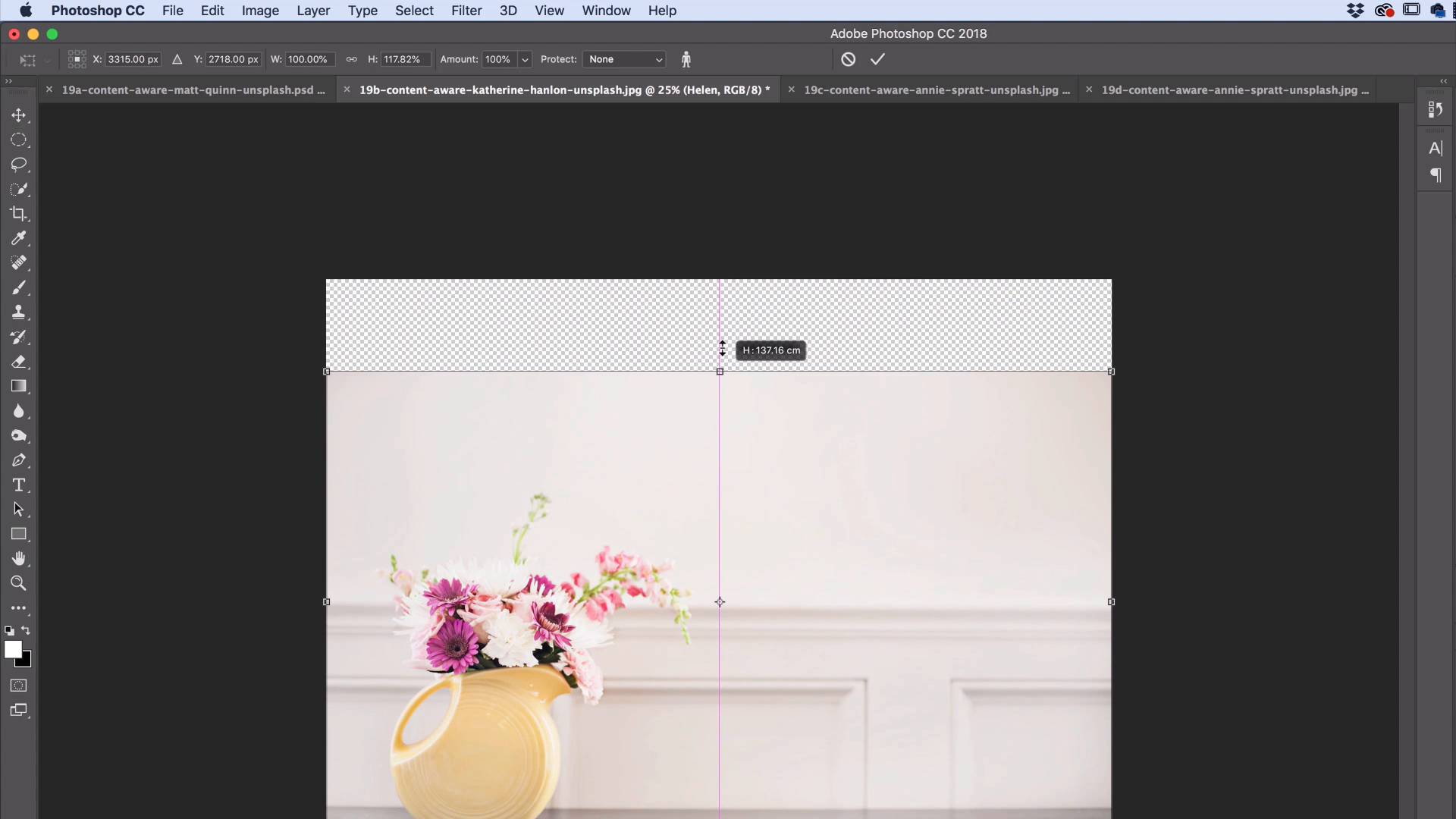 How To Use Content Aware Scaling In Photoshop Cs4