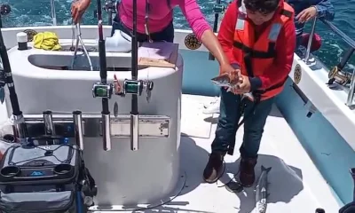 Ensenada Report Video 0