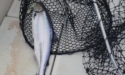 Ludington Report Video 0
