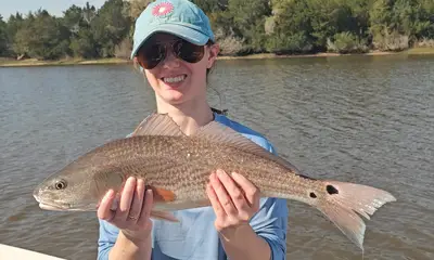 Amazing. Highly Recommend!