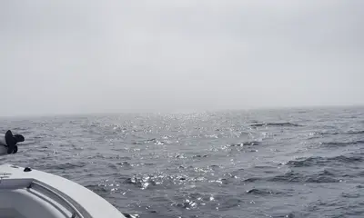 Panama City Report Video 0