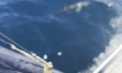 great boat, great people