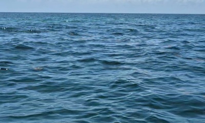 August fishing trip