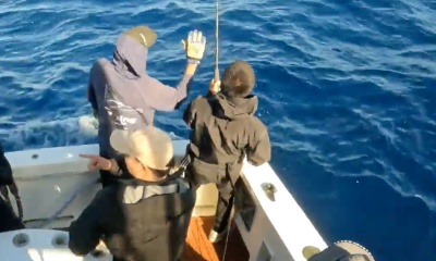 Sydney Report Video 0