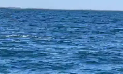 Tavira Видео отчет 1