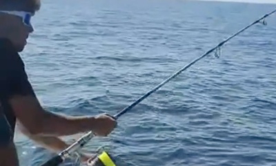 Tavira Report Video 0