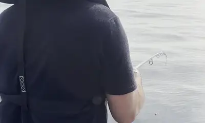 Reporte de Tavira Video 0