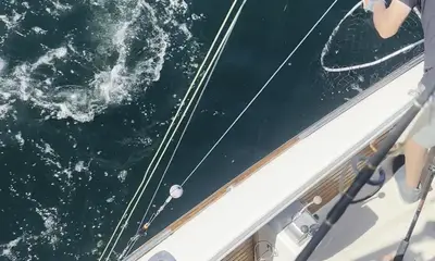 Eastham Report Video 0