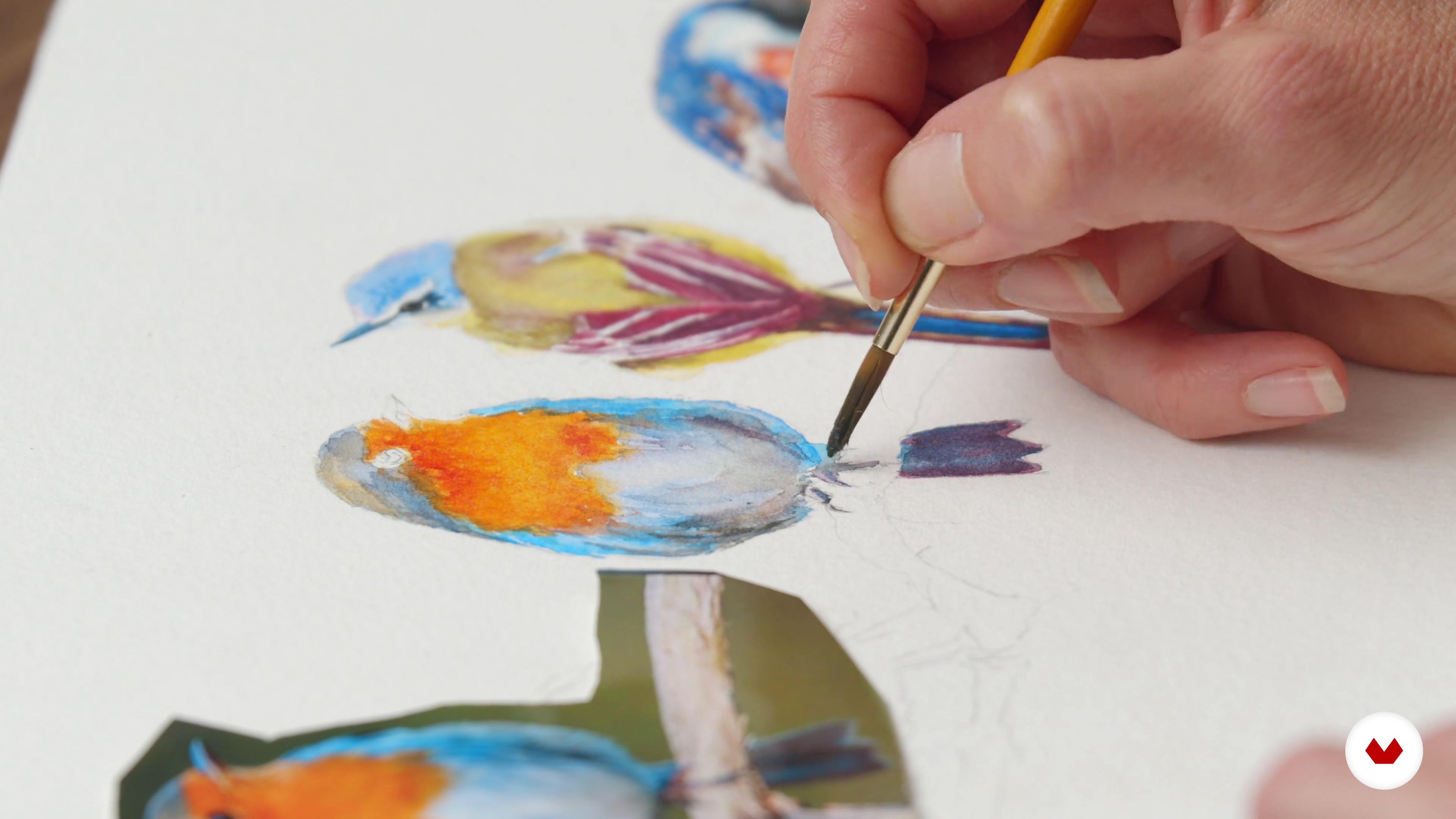 Painting Birds 1 | "Artistic Watercolor Techniques for Illustrating