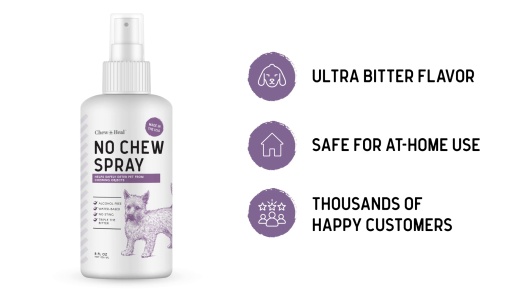 Play Video: Learn More About Chew + Heal From Our Team of Experts