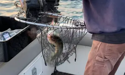 Erie Report Video 1