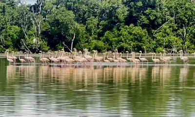 Islamorada Report Video 0