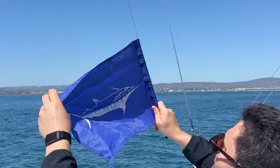 Faro District Report Video 1