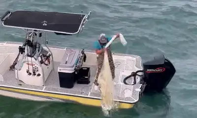 Tampa Report Video 0