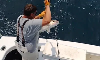 Wanchese Report Video 0