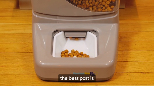 PORTIONPRO RX Automated RFID Dog & Cat Feeder, Gray - Chewy.com