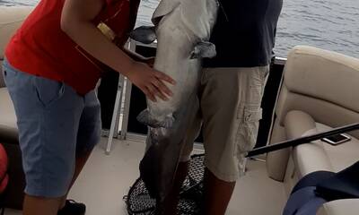 Lake Conroe Report Video 2